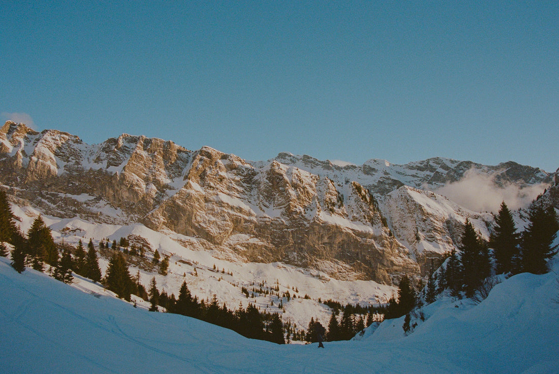 White paradise