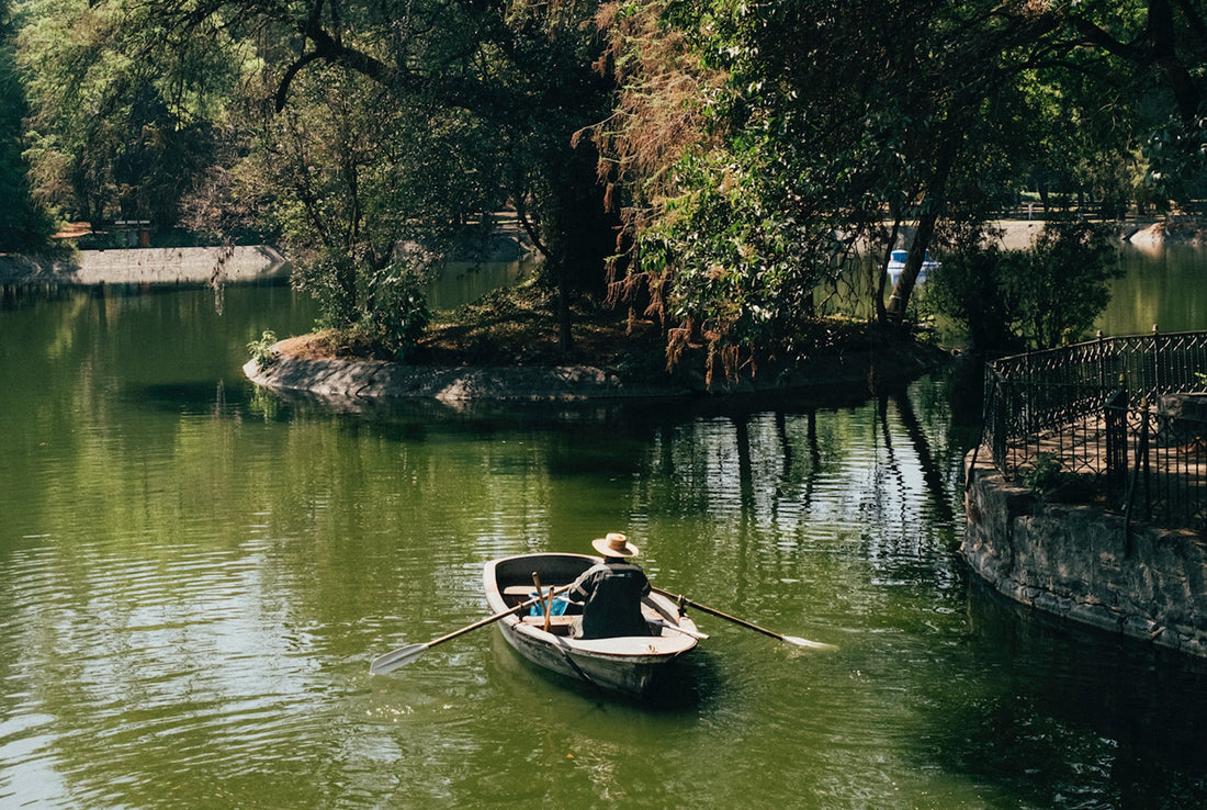 Travel Guide: Mexico City